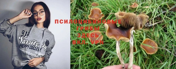 трава Навашино